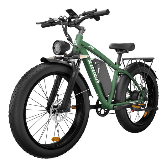 BluVall Zeegr F1 Electric Bike Series