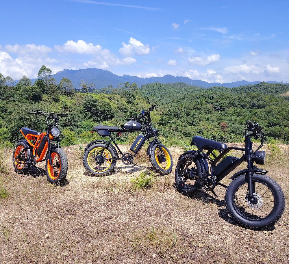 BluVall Ebikes