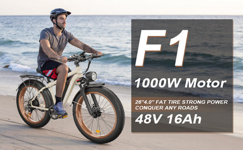 BluVall Zeegr F1 Electric Bike